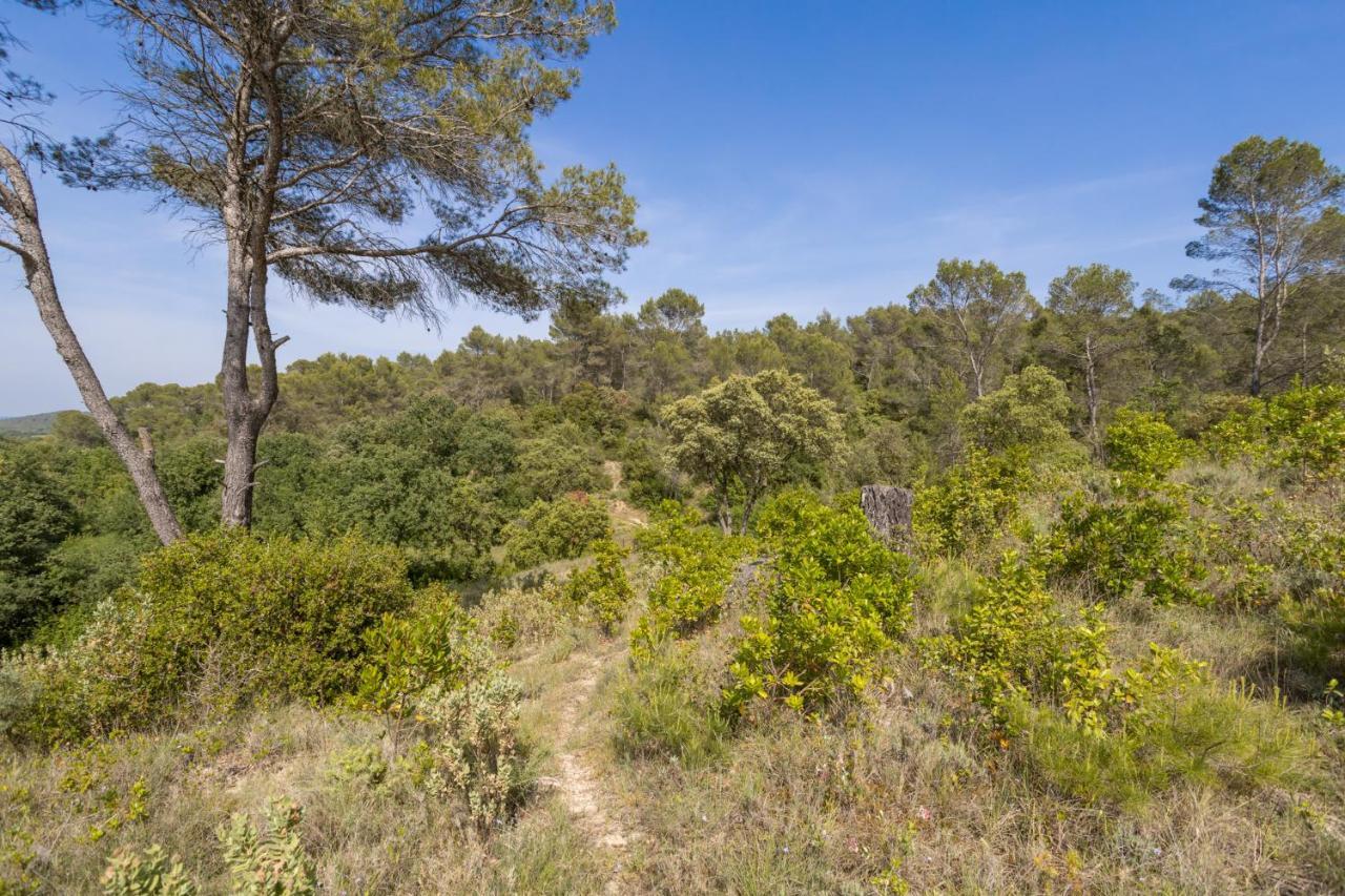 Petit Paradis Garrigue Villa Moulezan Exterior photo